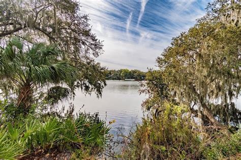 land for sale mulberry florida.